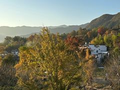-塔川景区