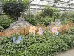 -南宫五洲植物乐园