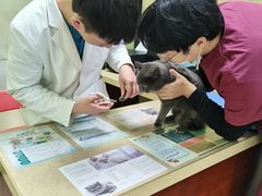 -艾贝尔宠物诊疗
