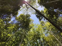 -虎跑公园
