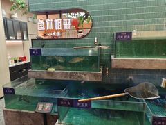 -鱼你相聚·河鲜馆(袁家岭店)