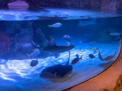 -沈阳海洋探索中心