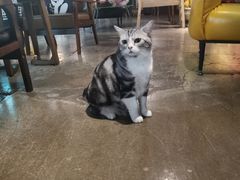 -咖法森林·咖啡  酒吧(天河店)