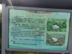 -莲花池公园