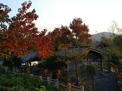 -塔川景区
