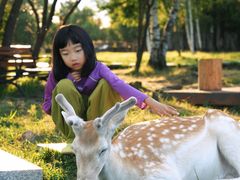 -五营红松林海景区