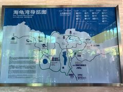 景点-广东惠东海龟国家级自然保护区
