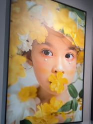 -大树儿童摄影