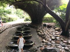 -成都市活水公园