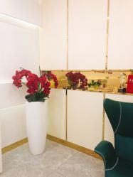 -CICI纤美·科技减肥美容