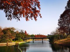 -尚贤河湿地