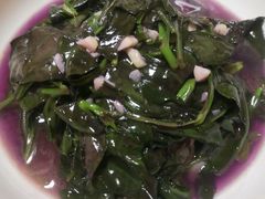 -全乐鱼馆·淳牌有机鱼直营店