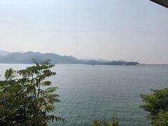 -望湖烤鱼