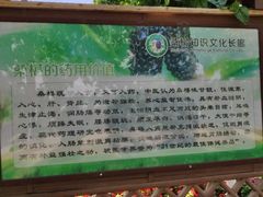 -御林古桑园
