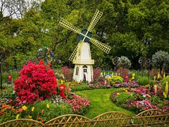 -上海共青森林公园