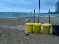 -小巴塞罗那海滩