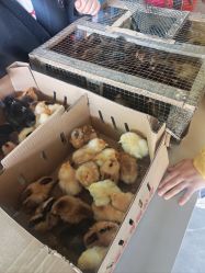 -268童话露营农场·烧烤·团建