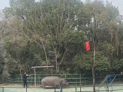 -南昌动物园