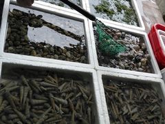 -外伶仃岛海鲜市场