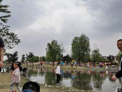 -两河城市森林公园