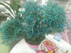 -E.L.K造型momopark店