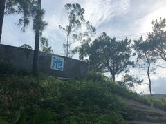 -美的鹭湖探索王国