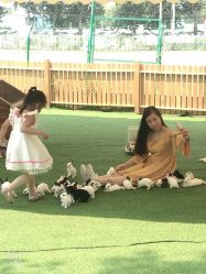 -萌宠亲子动物乐园(槐房万达店)