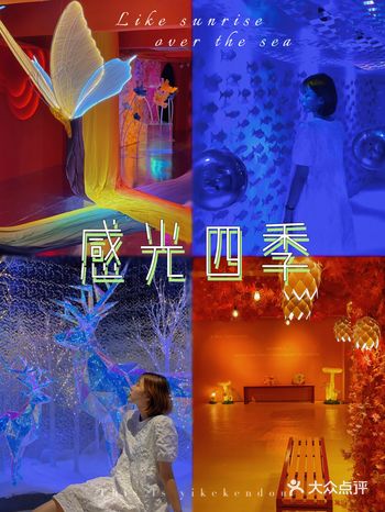 广州最好看の光影展·感受四季变幻之美