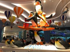 -帝企鹅自助餐厅•儿童岛•真企鹅(长隆企鹅酒店)