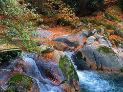 -光雾山旅游景区