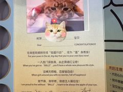 -艾贝尔宠物医院·24H转诊中心·肿瘤猫专科(江宁双龙店)