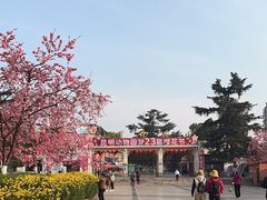 -昆明动物园