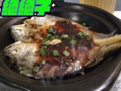 砂锅豉油黄鱼-西苑饭店·蓬莱春餐厅