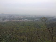 -紫金山山顶公园