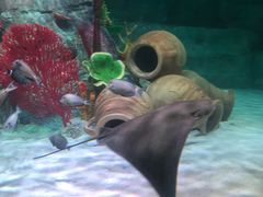 -沈阳海洋探索中心