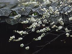 -钱王祠