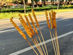 -京狮炙燥·精酿烧烤(首经贸店)