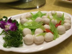 -丁老爷子苏香圆