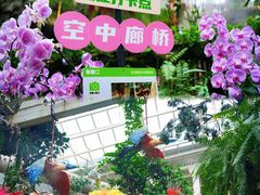 -正佳雨林生态植物园