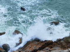 -广东惠东海龟国家级自然保护区
