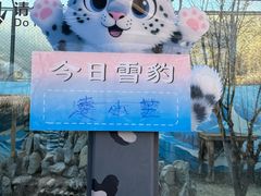 -青藏高原野生动物园