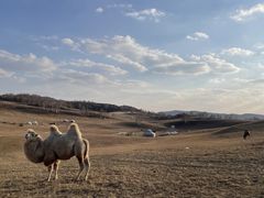 -塞罕坝国家级自然保护区