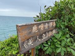 -鹿嘴山庄