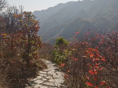 -水峪民俗村