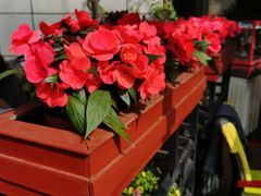-百味馆·粤菜·湛江菜(后海花园店)