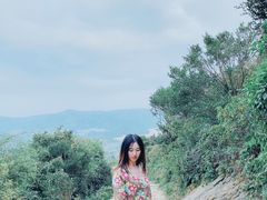 -大姆山草场