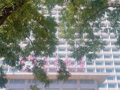 -北京饭店
