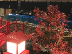 -綱元·海鲜豆捞(明州里店)