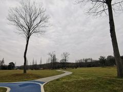 -宜兴龙背山森林公园