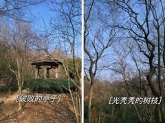 -南京市江宁方山